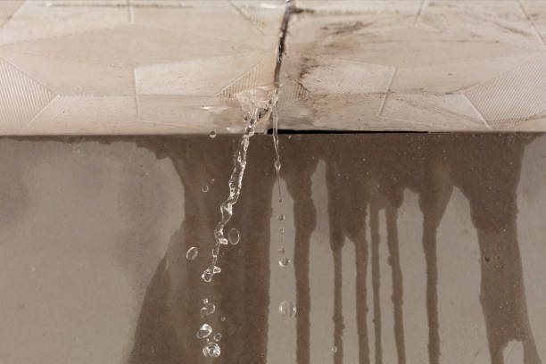 Professional Structural Drying technician working in Newcastle, TX